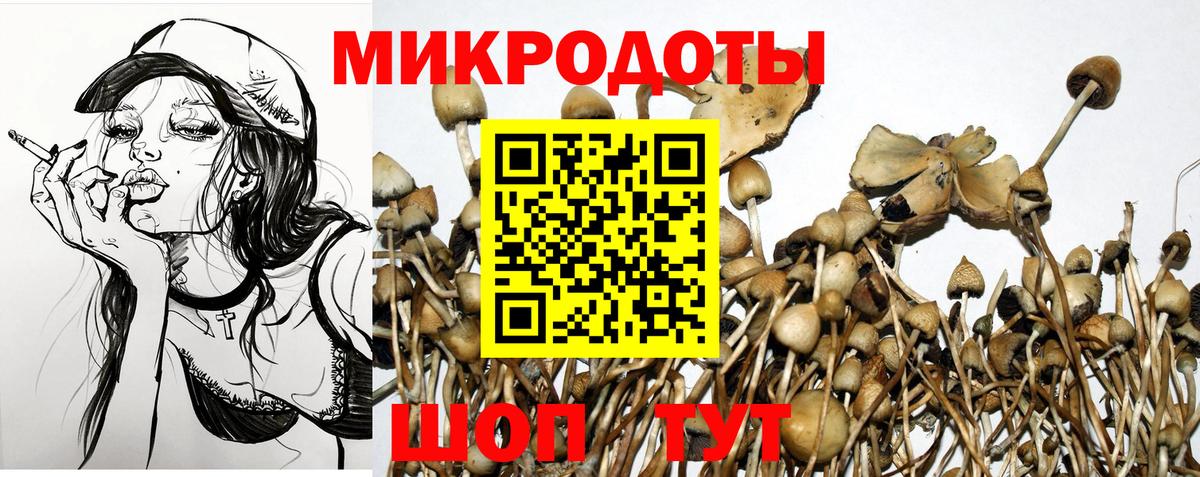 Псилоцибиновые грибы MAGIC MUSHROOMS Городец