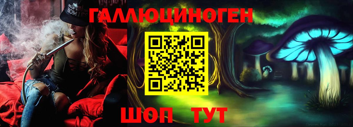 Галлюциногенные грибы Cubensis  Вход с VPN  Галлюциногенные грибы прущие грибы  Городец 
