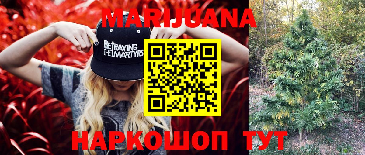 Бошки марихуана конопля Городец